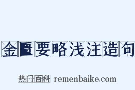 金匮要略浅注造句是什么意思的图片